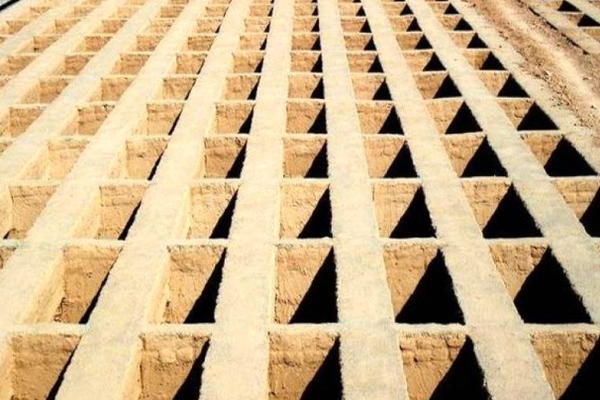 مدیرعامل بهشت زهرا: سربازان آمریکایی در خارج از تهران دفن میشوند