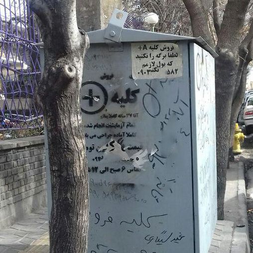 مدیر انجمن بیماریهای کلیوی کرمانشاه: قیمت خرید کلیه به ۱۵۰ تا ۲۰۰ میلیون تومان رسیده است