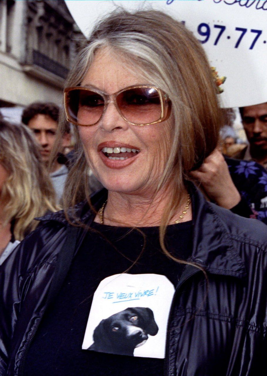 بریژیت باردو، اسطوره سینمای فرانسه، در ۹۱ سالگی درگذشت