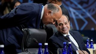 Saudi, Egyptian Ministers Vow Cooperation In All Fields, Including Iran