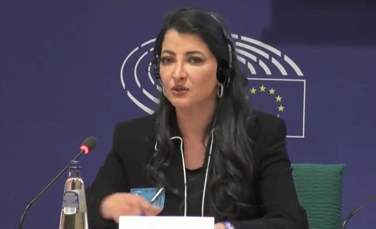 سیما ثابت در کمیته حقوق بشر پارلمان اروپا خواستار همبستگی جامعه جهانی با مردم ایران شد