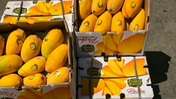 عضو اتاق بازرگانی:میتوانیم کاشی و سرامیک به پاکستان بدهیم، موز و انبه وارد کنیم