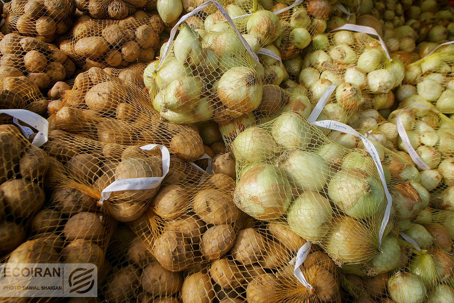 معاون سازمان مرکزی تعاون روستایی: زمستان امسال مشکل سیب‌زمینی و پیاز نداریم