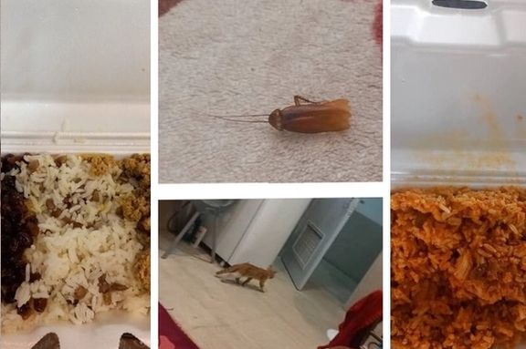 اخراج رکورددار پرتاب نیزه ایران از خوابگاه بهدلیل انتشار تصاویری از حضور سوسک و گربه