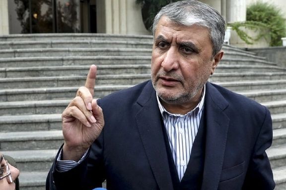 رییس سازمان انرژی اتمی: با روسیه قصد ساخت هشت نیروگاه اتمی جدید داریم