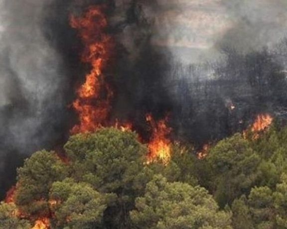 النيران تلتهم غابات مريوان في إيران.. ومسؤول حكومي: "نطاق الحرائق واسع جدًا"