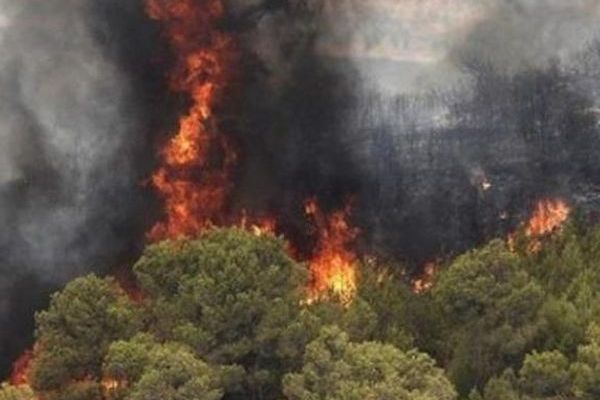 النيران تلتهم غابات مريوان في إيران.. ومسؤول حكومي: "نطاق الحرائق واسع جدًا"