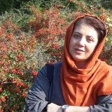 احضار روزنامهنگار محیط زیست در پی گزارش واگذاری زمینهای جنگل هیرکانی