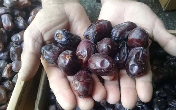 رسانههای ایران: قیمت خرما به بستهای ۳۰ تا ۵۰ هزار تومان رسیده است