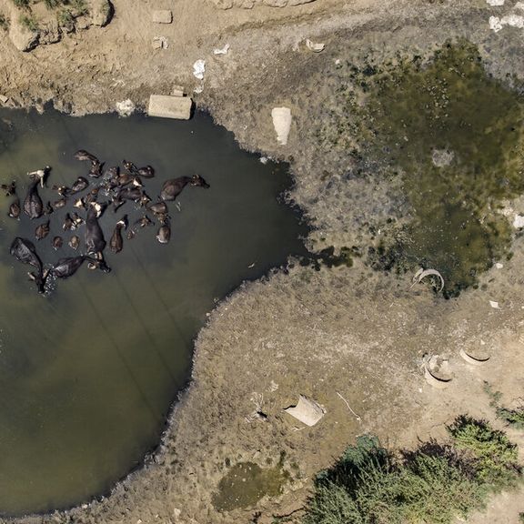 عضو شورای شهر اهواز: با دستور بالا و برای خوشآمد چینیها هورالعظیم را خشک کردند