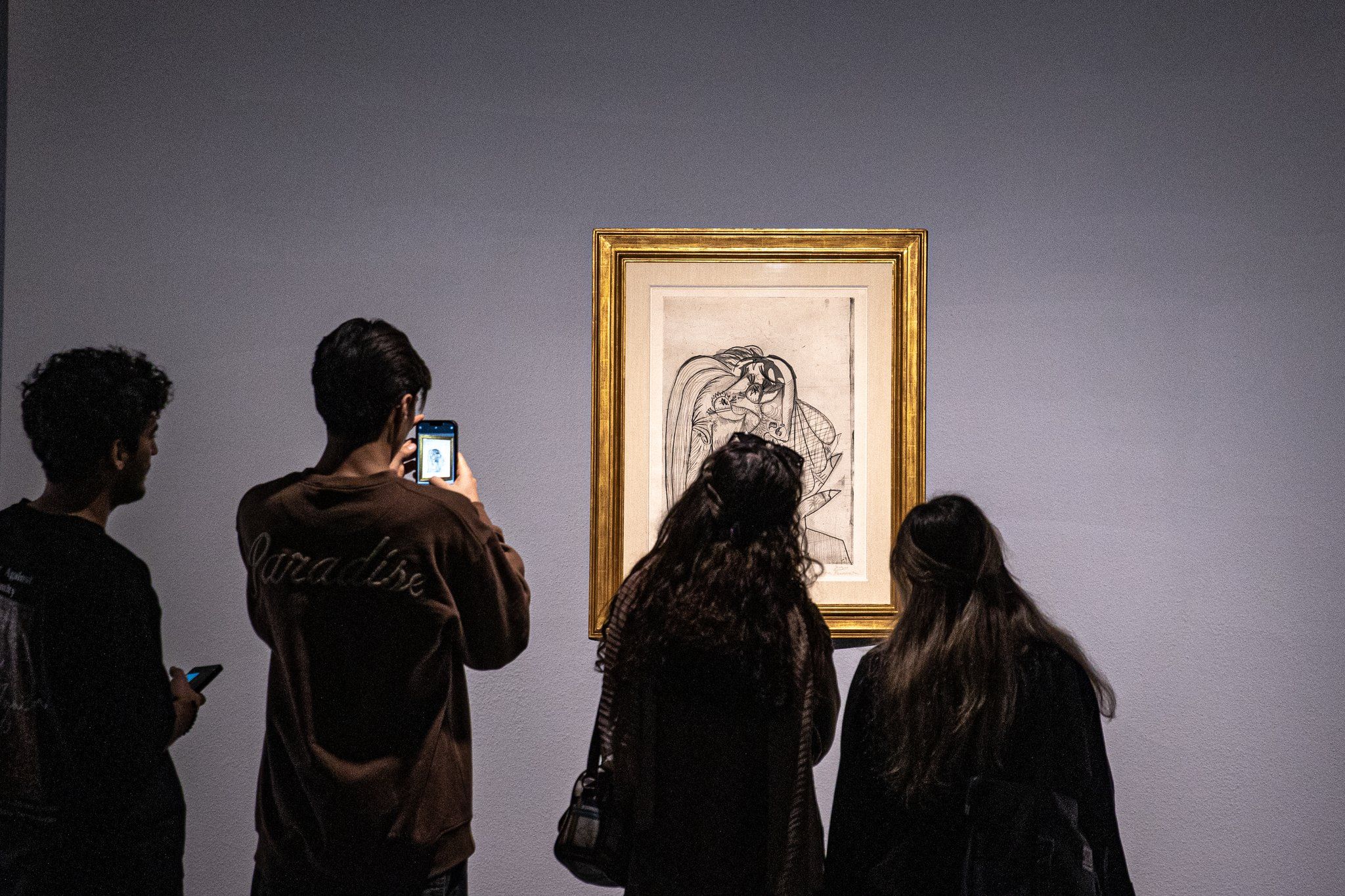 Internet Pro or Censor Pro? Iran rolls out a new service