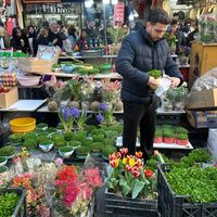 A new year dawns in Iran, shadowed by loss and war