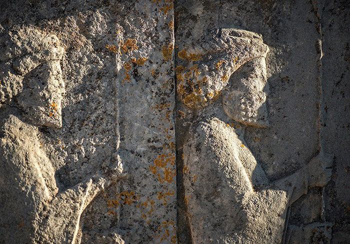 Achaemenid soldiers surrounded with spreading lichens in Persepolis, a World Heritage in southern Iran