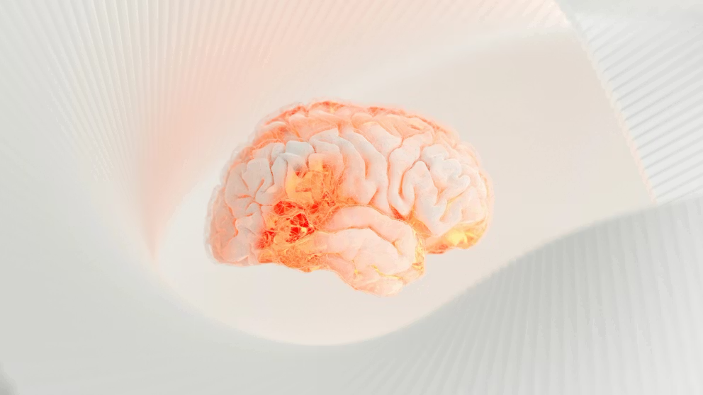 مغز مردان با افزایش سن سریع‌تر از مغز زنان کوچک می‌شود