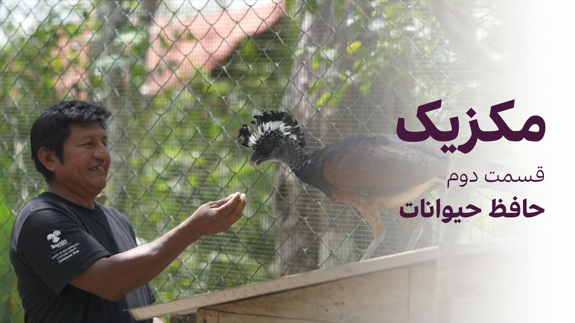 مکزیک: حافظ حیوانات