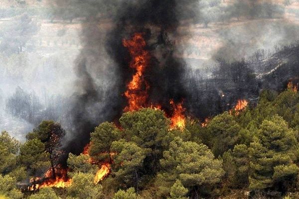 مدیرکل مدیریت بحران آذربایجان شرقی: آتشسوزی در جنگلهای نمنق جلفا ادامه دارد