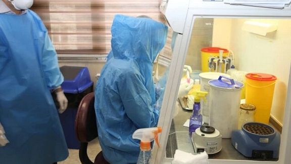 عضو ستاد کرونا: برای تشخیص گونه دلتای ویروس کرونا به تست ۱۰ میلیون تومانی نیاز است
