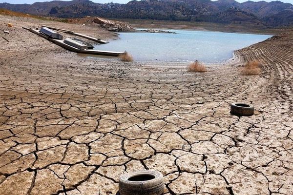 Northern Iran’s wetlands face collapse as migratory birds disappear