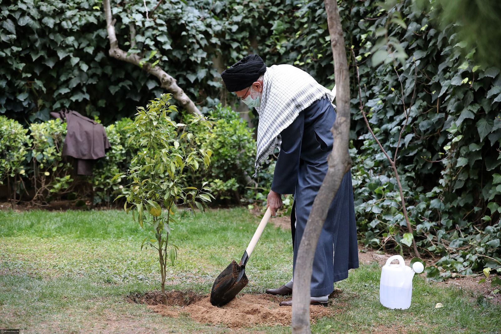 In Symbolic Act Khamenei Plants A Tree Amid Environmental Crisis