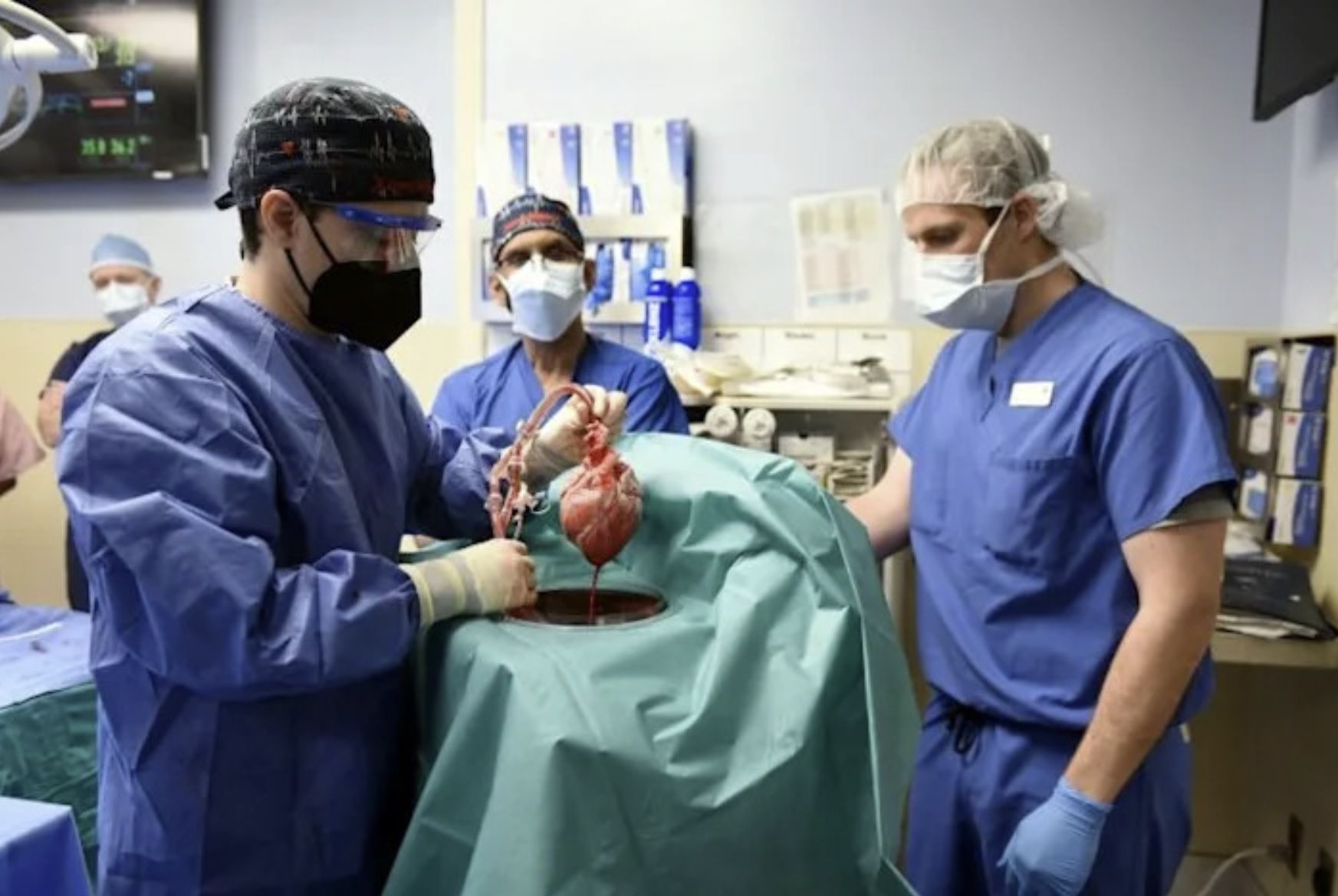 جراحان آمریکایی با موفقیت قلب یک خوک را به مردی ۵۷ ساله پیوند زدند