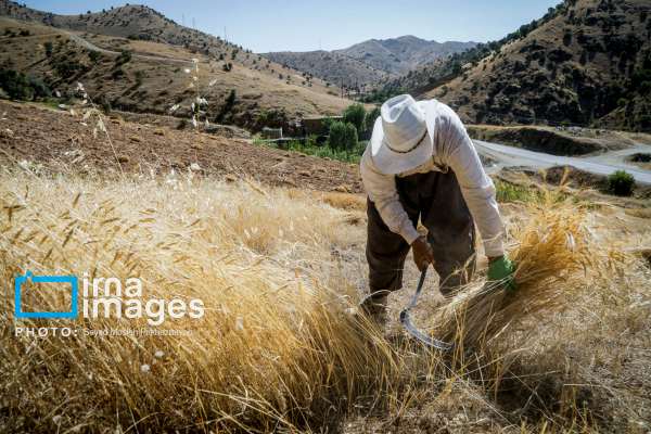 Iranian government considers subsidy cuts despite rising poverty