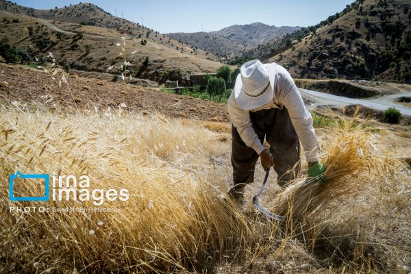 Iranian government considers subsidy cuts despite rising poverty