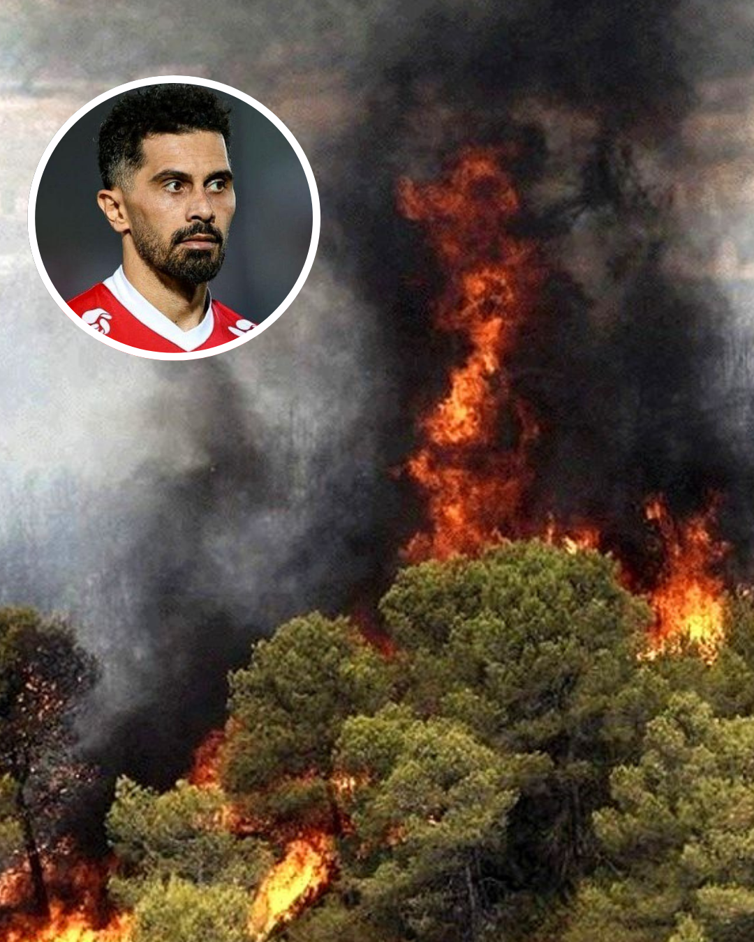 درخواست کاپیتان پرسپولیس از دستگاه‌های مسئول برای مهار آتش‌سوزی جنگل‌های هیرکانی