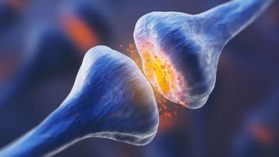 انجام تحقیقات جدید درباره آنتیبیوتیکی که آثار سوءمصرف مواد را کاهش میدهد