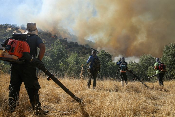 انتقاد گسترده افکار عمومی از ناتوانی و تعلل حکومت در مهار آتش‌سوزی جنگل الیت