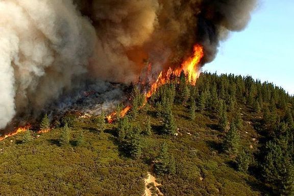 منابع طبیعی استان گلستان:آتشسوزی در منطقه حفاظت شده جهاننما با گذشت چند ساعت ادامه دارد
