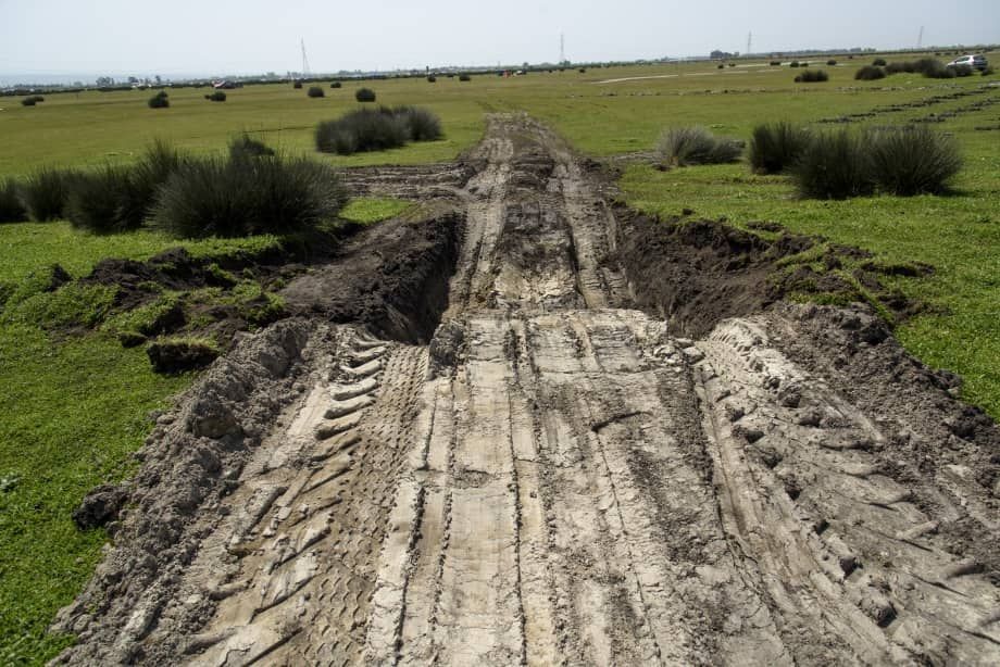 Controversial Iran Petrochemical Project Continues Despite Legal Order