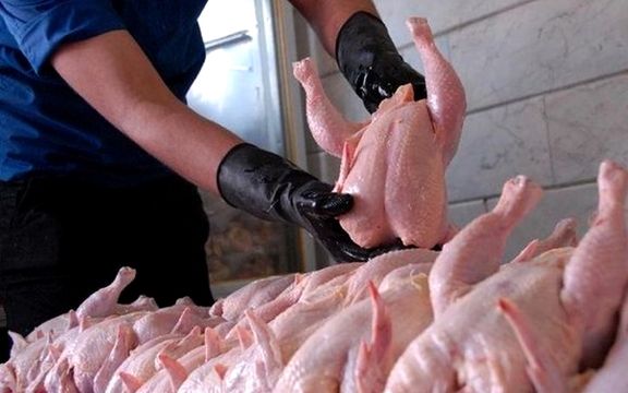 عضو کمیسیون کشاورزی مجلس: قیمت مرغ حدودا کیلویی ۸۰ هزار تومان میشود