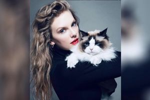 حمایت تیلور سوئیفت از کامالا هریس چگونه بر انتخابات ریاستجمهوری آمریکا تاثیر میگذارد