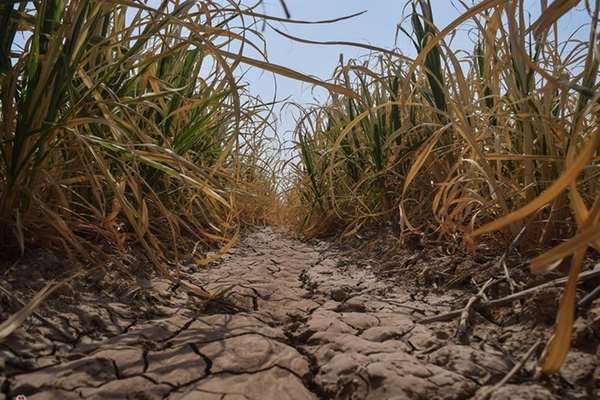 A Quarter Of Iranian Farmers Unemployed In Last Seven Years