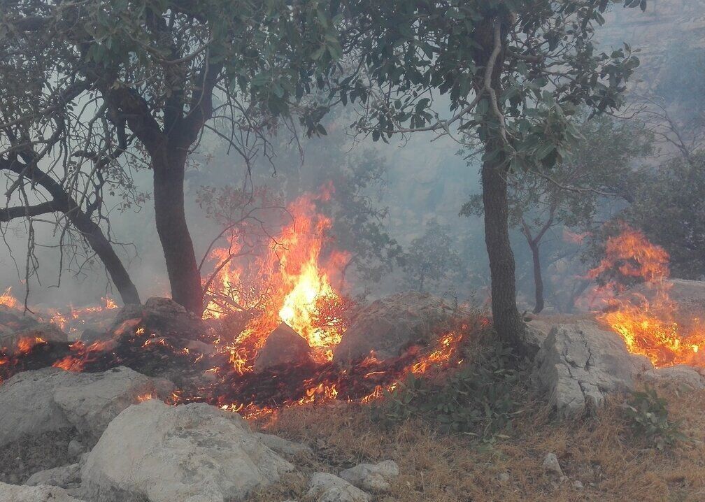 رکورد آتش‌سوزی‌های پاییزی در جنگل‌های مازندران شکست؛ حریق در پارک ملی گلستان ادامه دارد