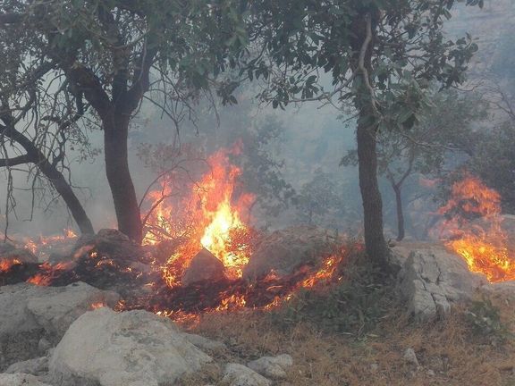 رکورد آتشسوزیهای پاییزی در جنگلهای مازندران شکست؛ حریق در پارک ملی گلستان ادامه دارد