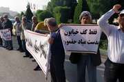 پایه مزد کارگران ایران در یک دهه از ۲۳۲ دلار به حدود ۸۰ دلار سقوط کرد