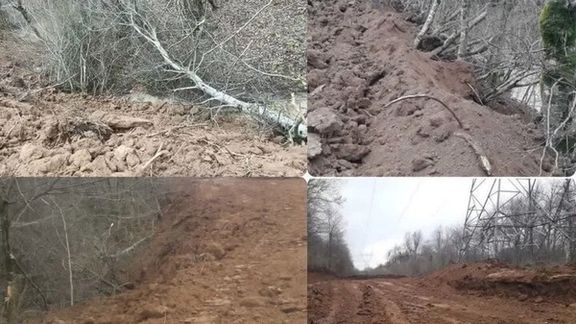 منابع طبیعی شهرستان نور: برای ساخت پارکینگ بیش از چهار هزار درخت جنگل هیرکانی را قطع کردند